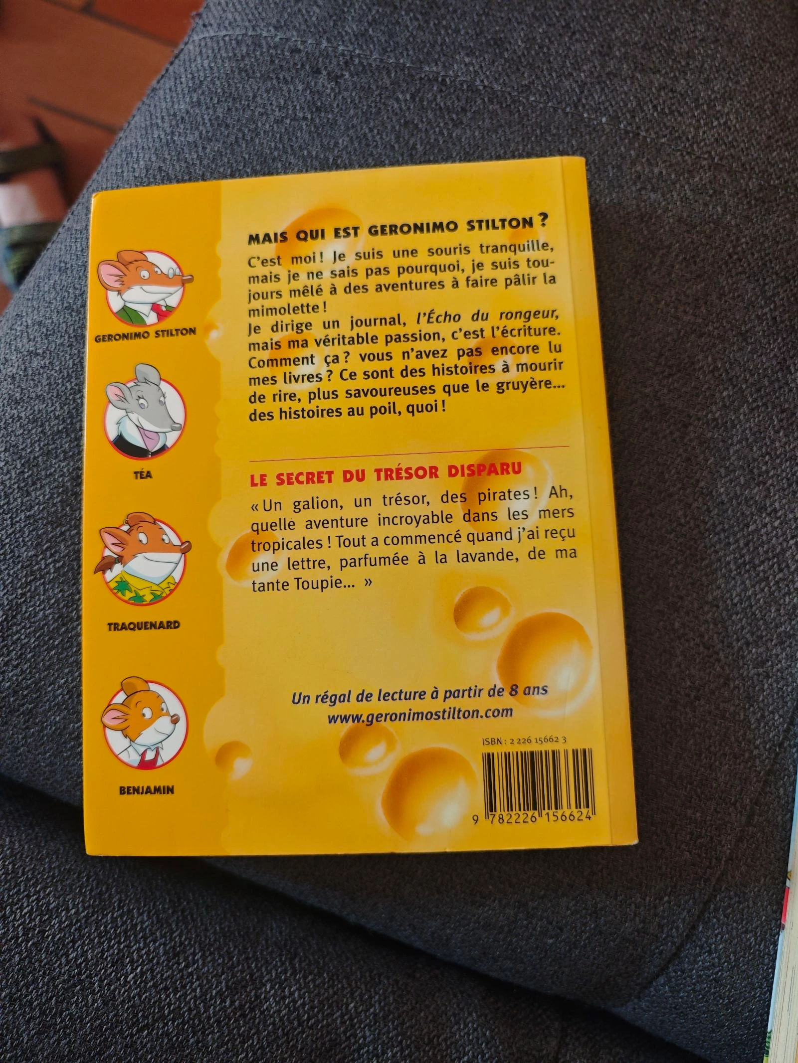 The mystery of the missing treasure Volume 19 (Geronimo Stilton) – photo 2